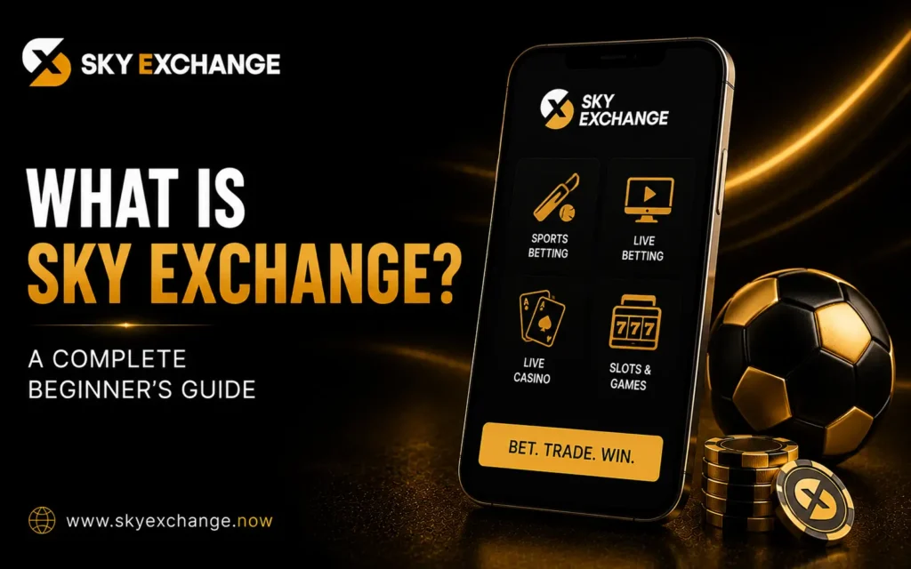 What Is Sky Exchange? A Complete Beginner's Guide