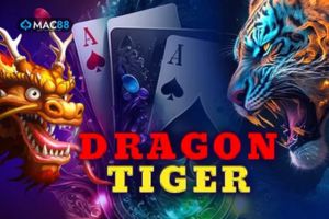 Dragon Tiger